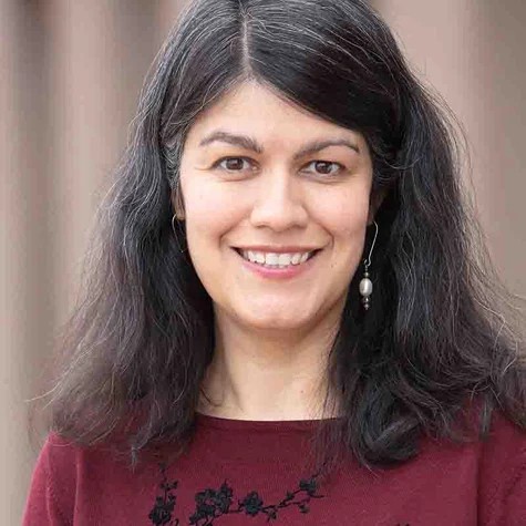 Marisa Barrera DreamSpring Acting CEO